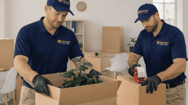 Packing Services